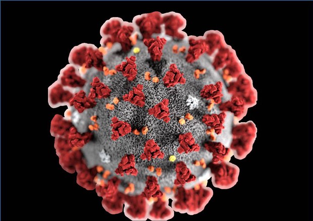 coronavirus renault trucks